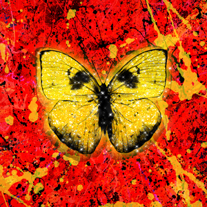 杨幂性做爰全过程
